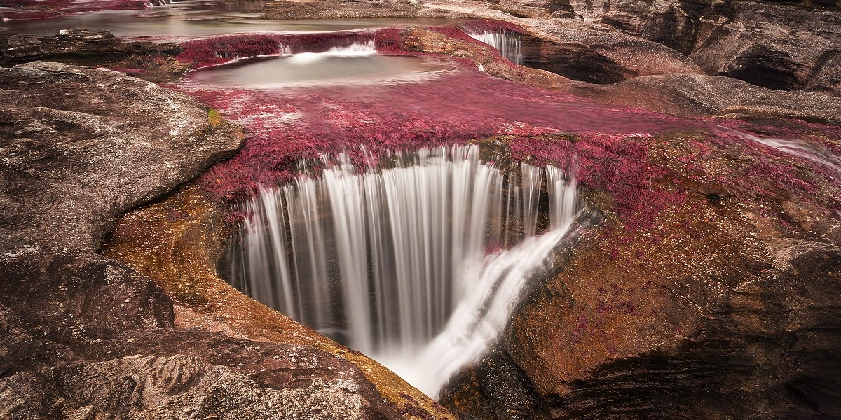 Cano Cristales River, La Macarena, Columbia