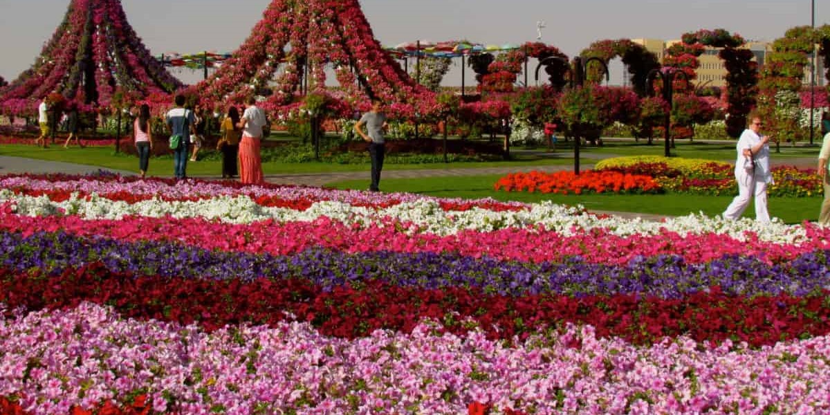 Dubai Miracle Garden, Dubai, UAE