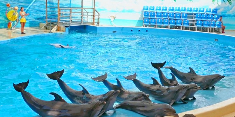 Dubai Dolphinarium