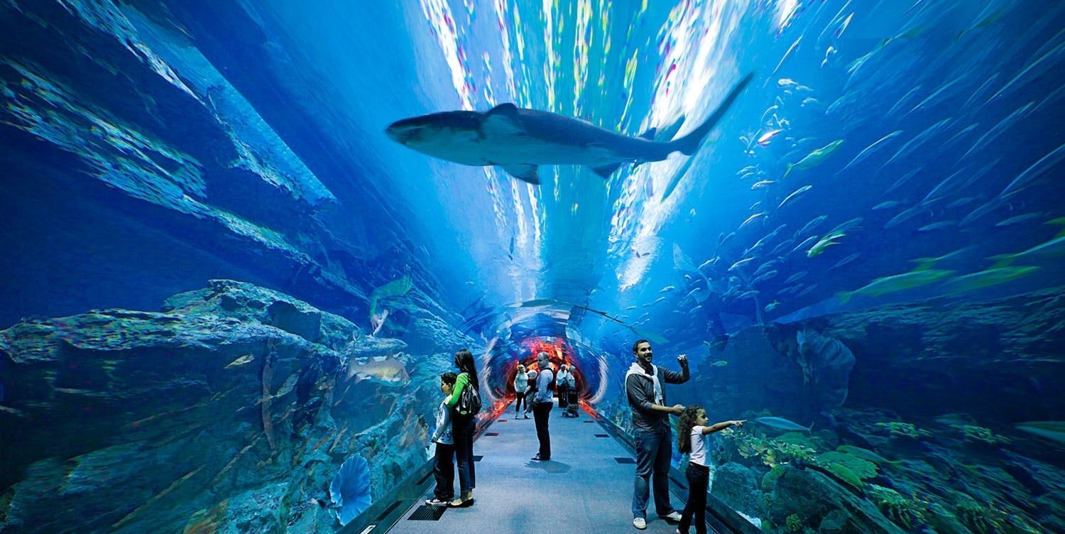 Dubai Aquarium & Underwater Zoo