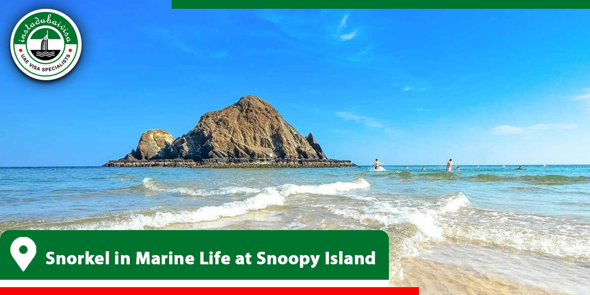 snorkel in marine life at snoopy island from instadubaivisa