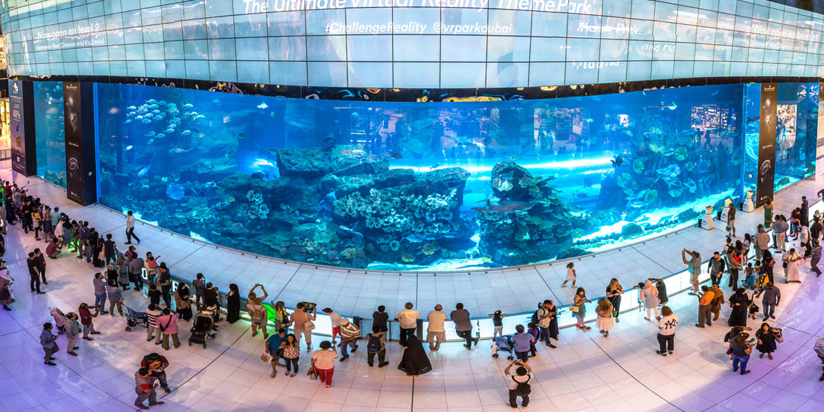 amazing places to visit in dubai is dubai mall aquarium