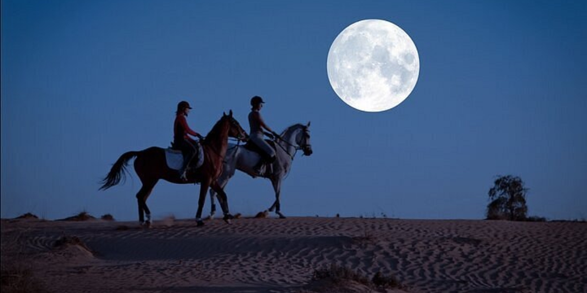 ride by the moonlight in dubai from instadubaivisa