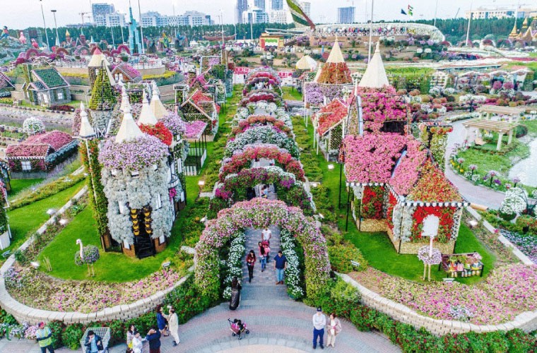 Miracle Garden
